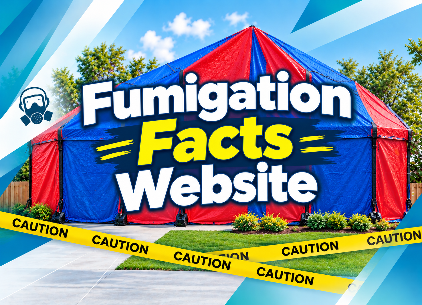 Modern suburban home exterior after professional fumigation