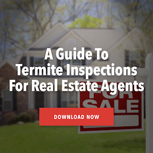 Real Estate Guide