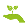 Eco-friendly termite treatment